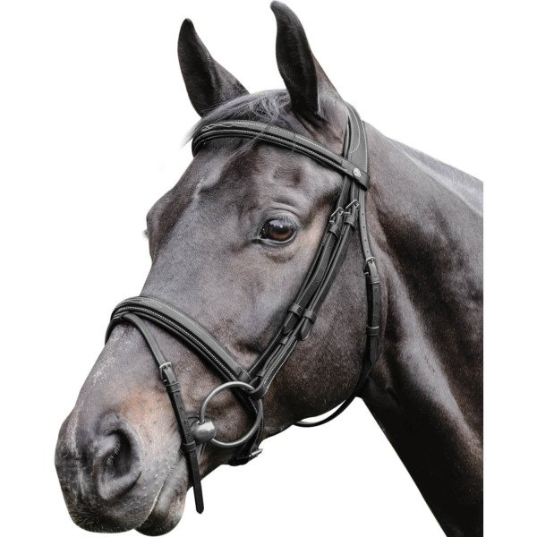 Prestige Italia Bridle E38, English Combined, Cambered, without Reins