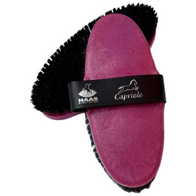 Haas Kardätsche Capriole