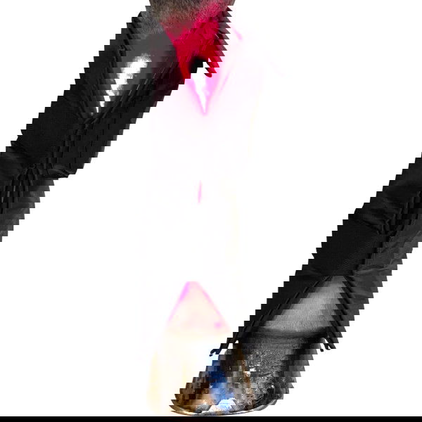 Equine LTS Therapiegamaschen LED Lichttherapie Red Edition, 2 Stück