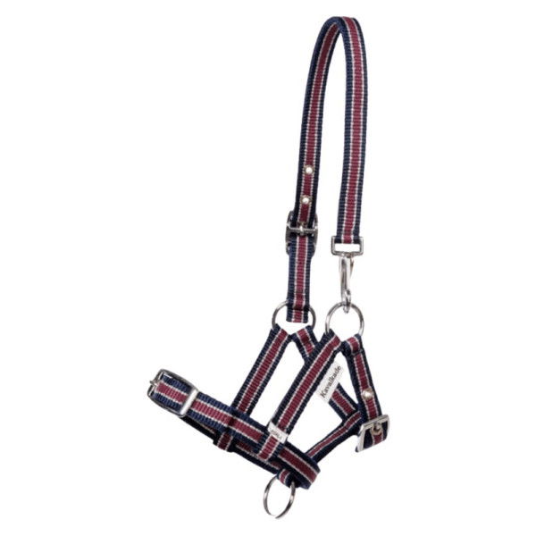 Kavalkade Halters, Foal Halter, Yearling Halter