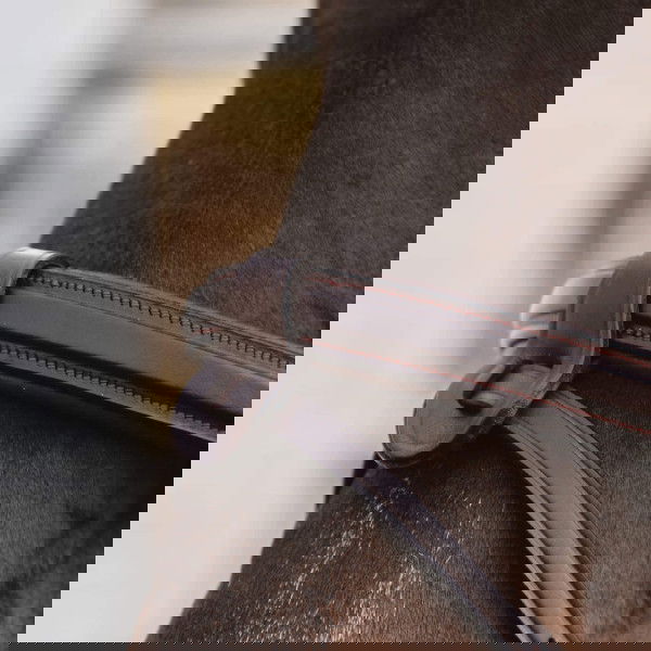 Dyon Flash Strap 1/2 NEC, with Chain and Removable Clasps