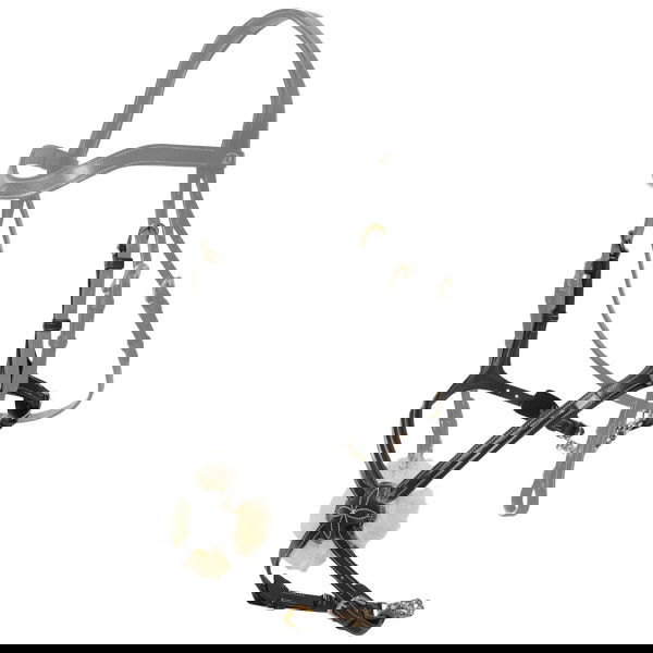 Dyon Interchangeable Noseband DC, Figure 8 Noseband, with Chin Chain