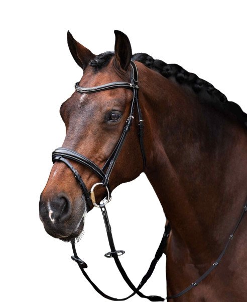 HV Polo Bridle HVPLegacy, English combined, with reins