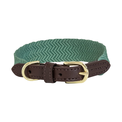 Kentucky Dogwear Hundehalsband Jacquard