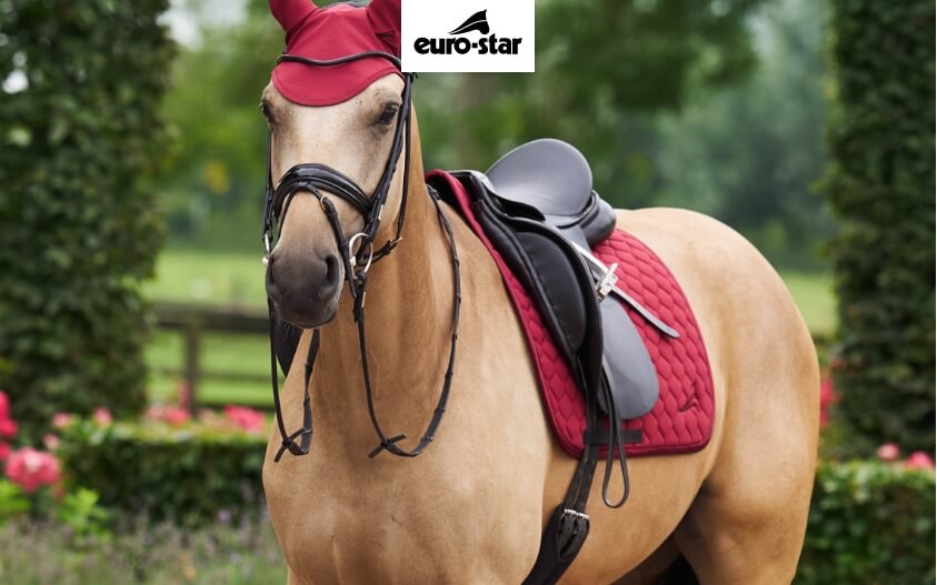 BRAND SALE: EURO STAR