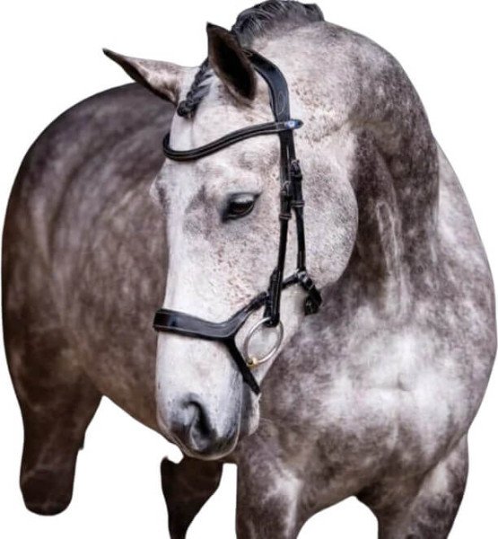 PS of Sweden Bridle Pioneer, Swedish Special, without Reins