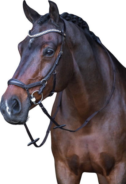 HV Polo Bridle Micklem HVPLegacy Anatomical de Luxe FW24, with Reins