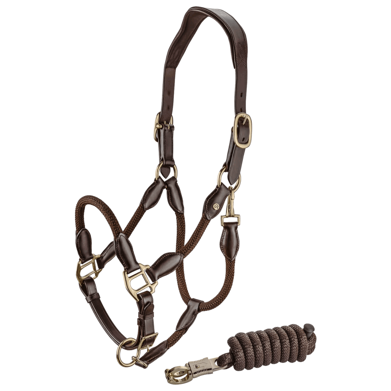 Sunride Halfter Set Denver, Lederhalfter, mit Anbindestrick