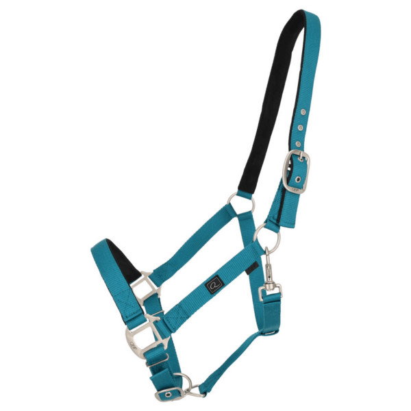 QHP Halfter, Nylonhalfter, mit Polsterung
