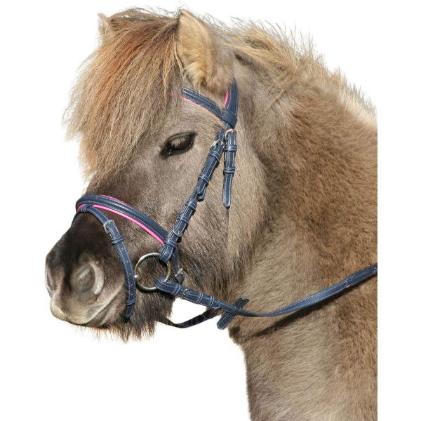 Star Bridle Unicorn 2, English Combined, with Reins