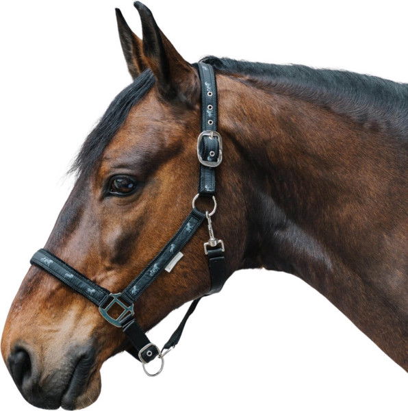 Waldhausen Halter Horse, Nylon Halter