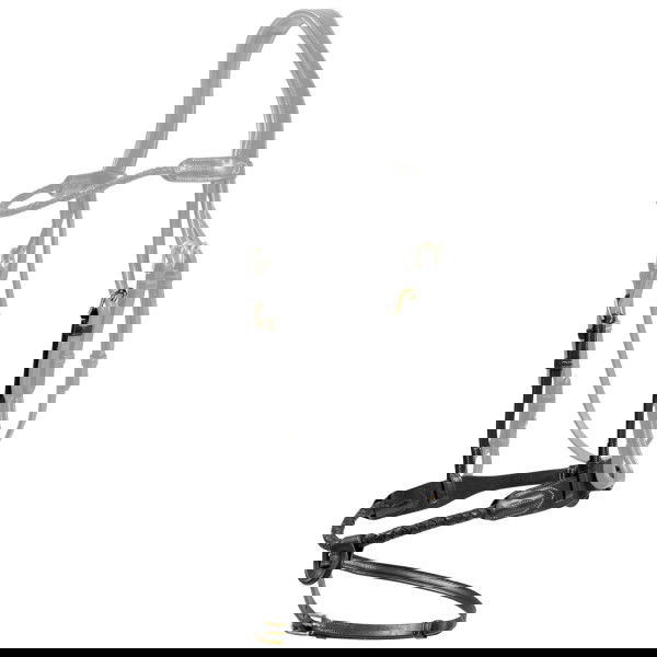 Dyon Wechselnasenriemen Braided Round DC, englisch kombiniert