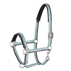 Eskadron Halfter Pin Buckle, mehrfarbig, Nylonhalfter Eskadron Halfter Pin Buckle, mehrfarbig, Nylonhalfter