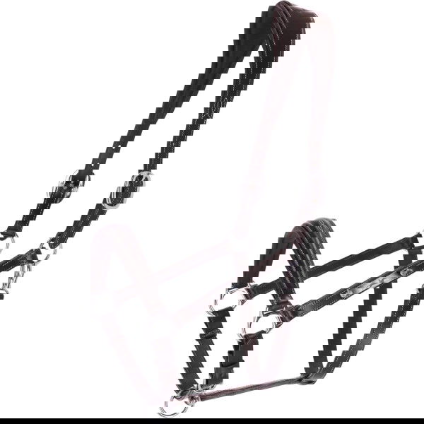 Schockemöhle Sports Halfter Frisco F, Lederhalfter