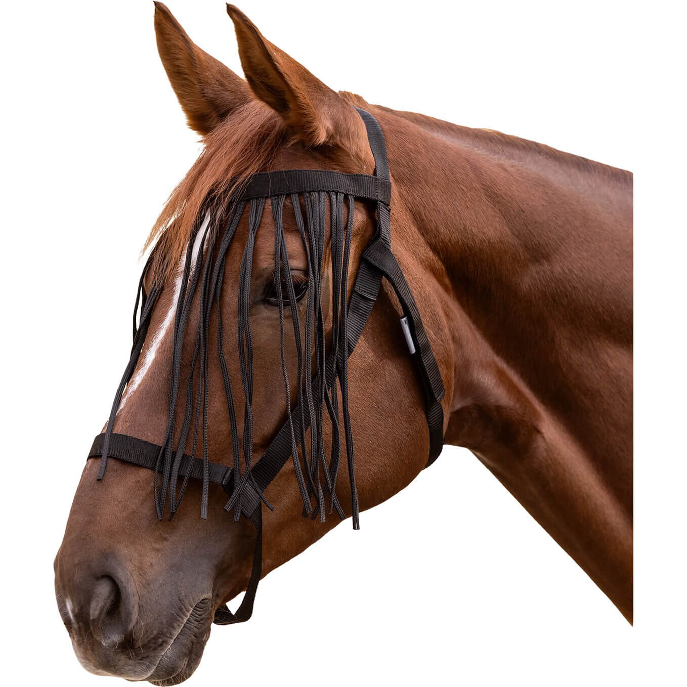 Waldhausen Halfter mit Fliegenfransen, Weidehalfter, Sicherheitshalfter, Nylonhalfter