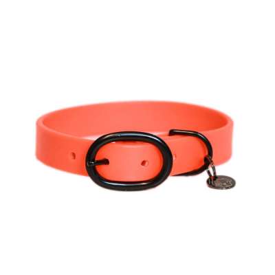 Kentucky Dogwear Hundehalsband Soft Rubber