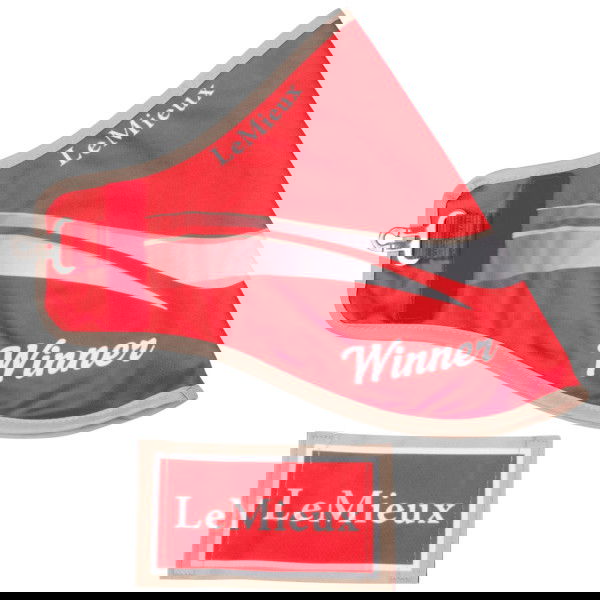 LeMieux Hobby Horse Winner Rug