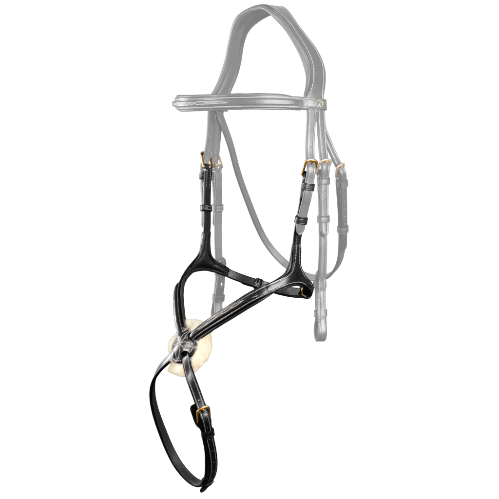 Dyon Wechselnasenriemen DC, mexikanisch