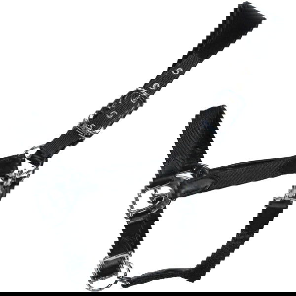 EQUEST Halfter Unique, Lederhalfter, Kombihalfter