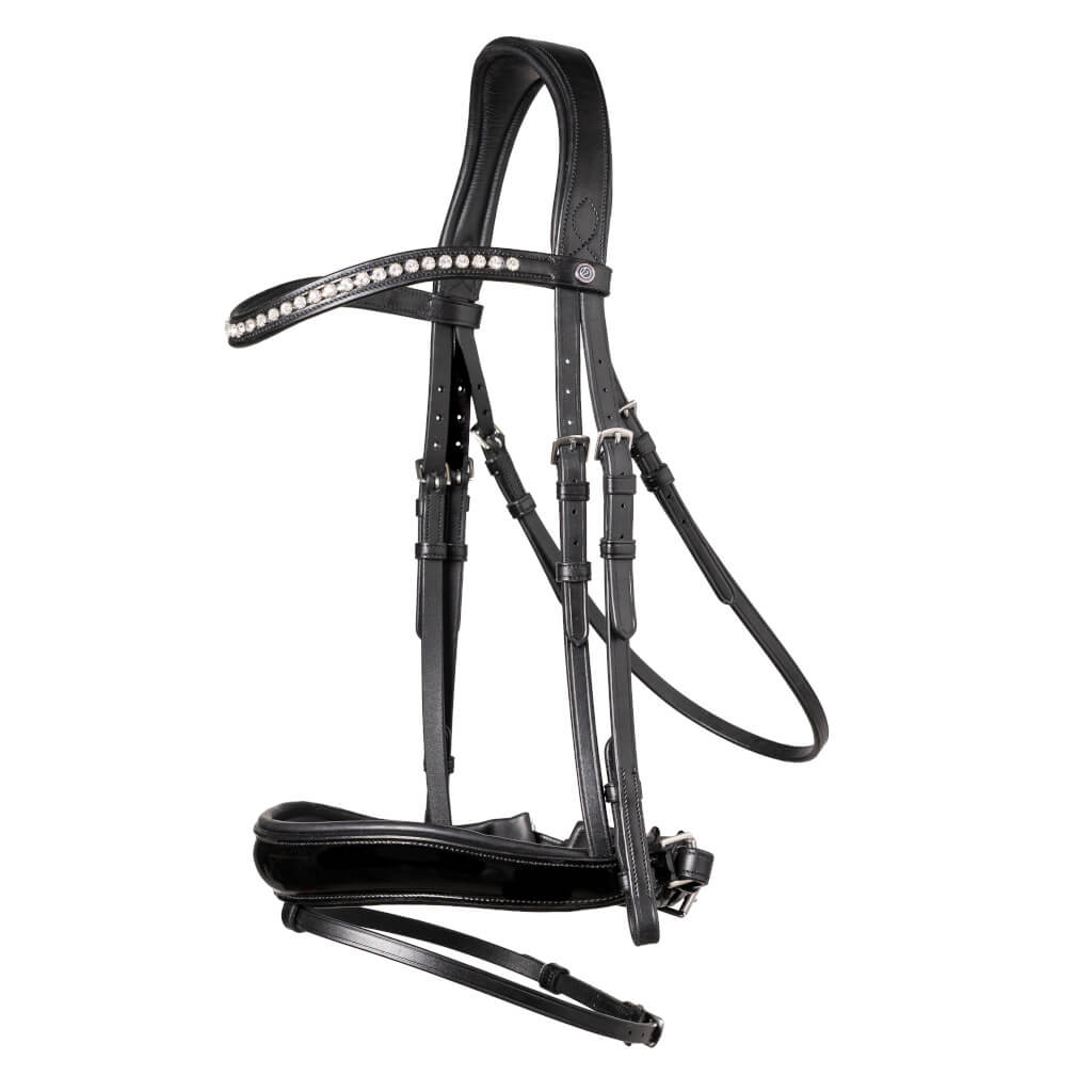 Trust Bridle Rotterdam with Swedish Combined Noseband | FUNDIS