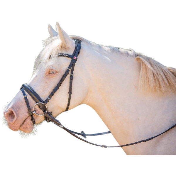 Kieffer Bridle Comfort Lyon, English Combined, with Reins