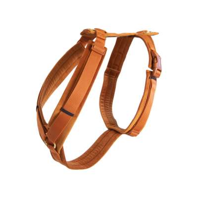 Kentucky Dogwear Hundegeschirr Active Velvet | FUNDIS Reitsport 