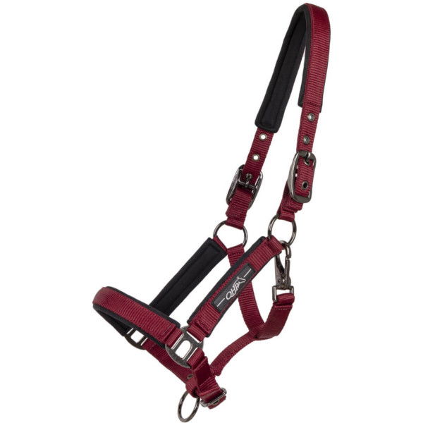 QHP Foal Halter Deluxe, Nylon Halter, Padded