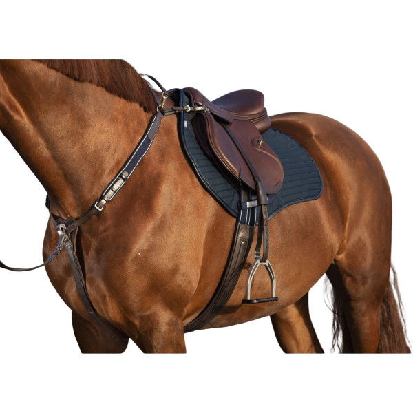 Horseware Vorderzeug und Martingal Micklem Breastplate