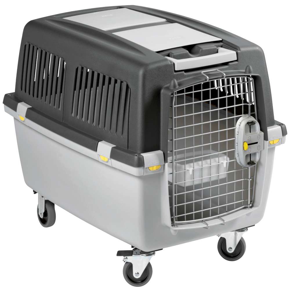 Hundetransportbox newest