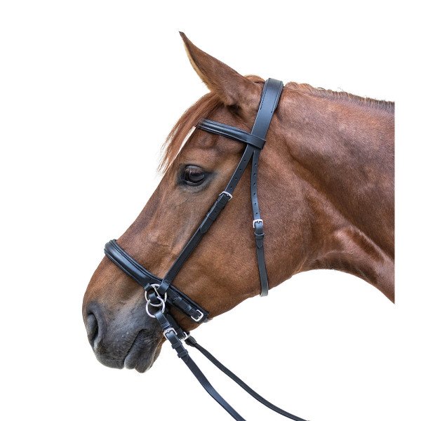 Star Bridle Bitless, with Reins