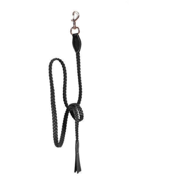 Dyon Lead Rope braided with Snap Hook