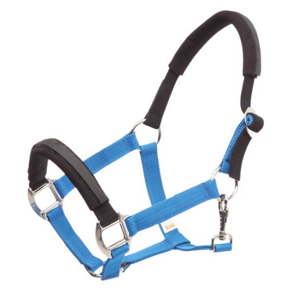 Kavalkade Halter KavalLastic, Safety Halter