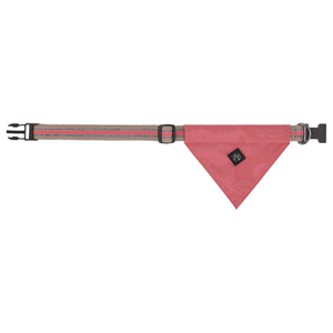 QHP Hundehalsband mit Bandana Collection FS25 QHP Hundehalsband mit Bandana Collection FS25