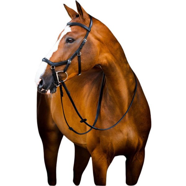 Horseware Bridle Micklem 2 Deluxe Competition, without Reins