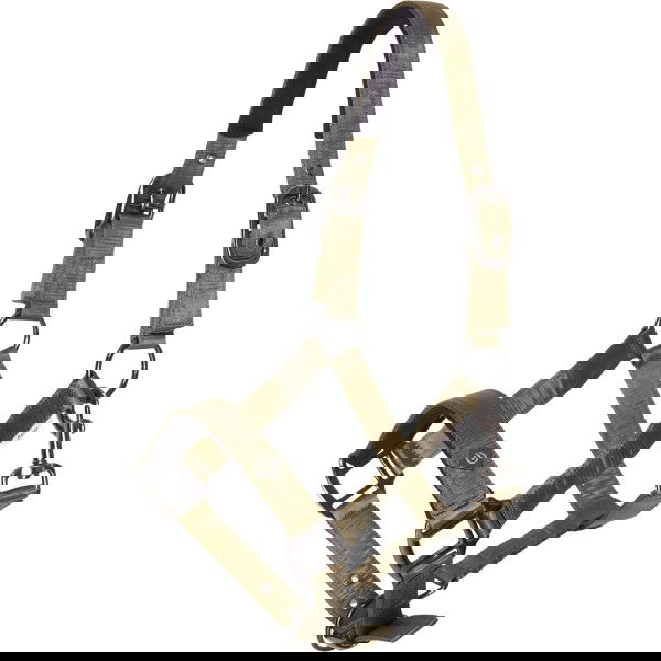 Imperial Riding Halfter IRHRebel HW25, Nylonhalfter