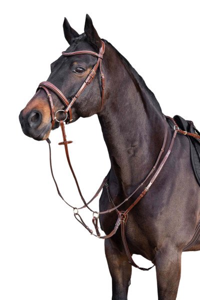 HV Polo Breastplate HVPLegacy, with Martingale Fork
