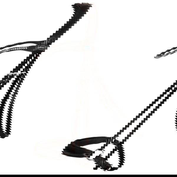 Passier Bridle Confidence, Dropped Noseband, with Reins