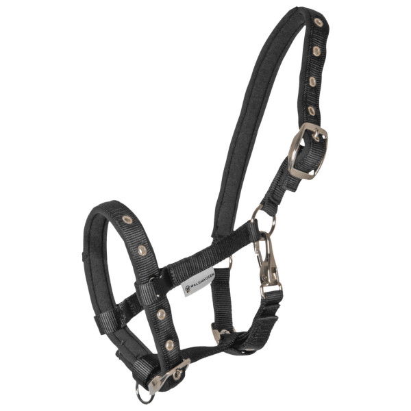 Waldhausen Halter Comfort, Foal Halter, Nylon Halter