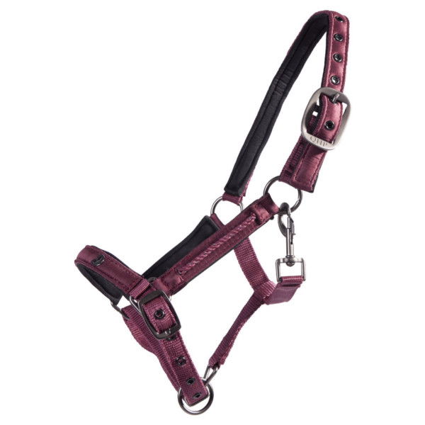 QHP Headcollar, Foal Headcollar