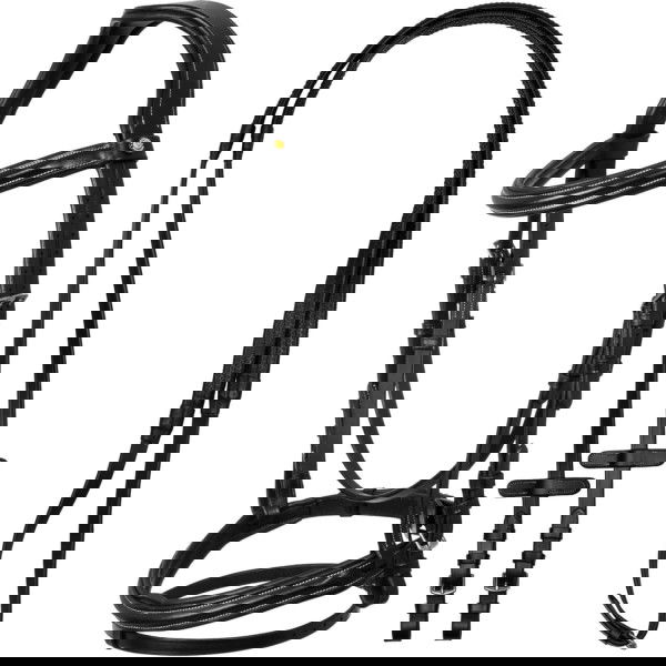 Equestro Trense Raised and Padded, englisch kombiniert, mit Zügel