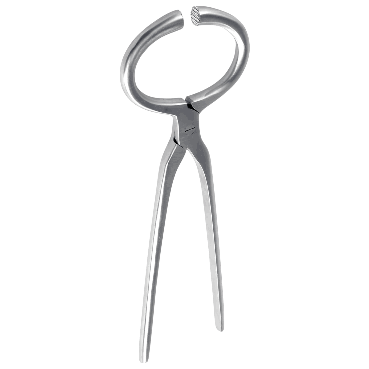 Waldhausen Hufuntersuchungszange, Edelstahl