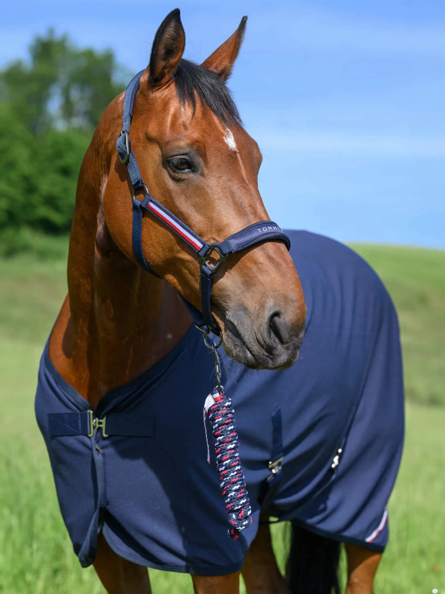 Tommy Hilfiger Equestrian Headcollar Set Yale | FUNDIS Equestrian