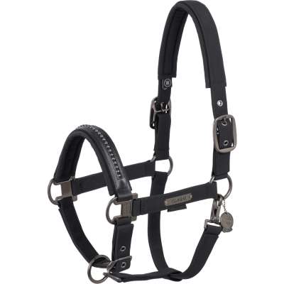 Eskadron Halter Softshell Pearls Double Pin Platinum FW25