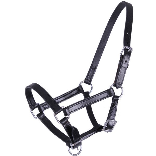QHP Leather Foal Halter Chico