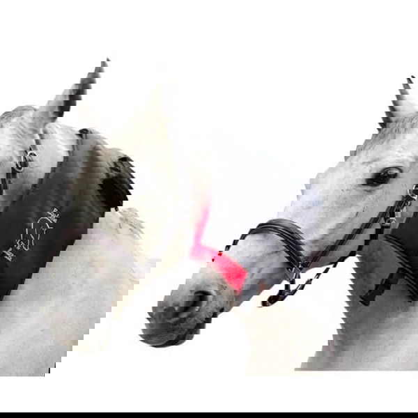 Equine LTS Therapiepad LED R-Serie Mini Pro