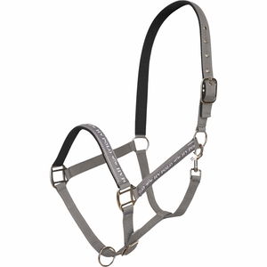HV Polo Halfter HVPNena FS25, Nylonhalfter HV Polo Halfter HVPNena FS25, Nylonhalfter