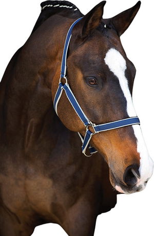 Horseware Halfter Amigo, Nylonhalfter Horseware Halfter Amigo, Nylonhalfter