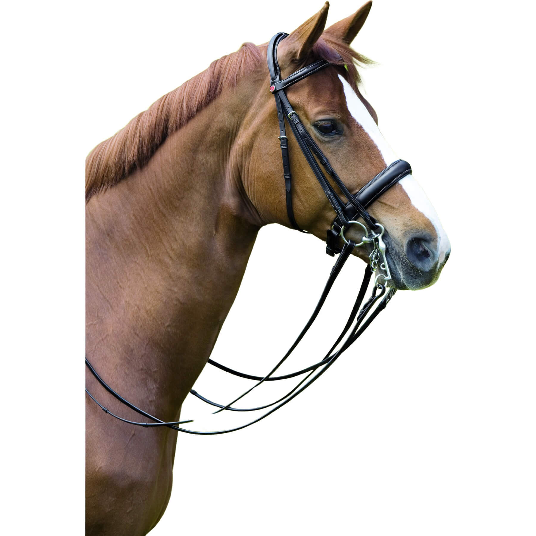 Kieffer Double Bridle Ergonomic Line III with Reins | FUNDIS Equestrian