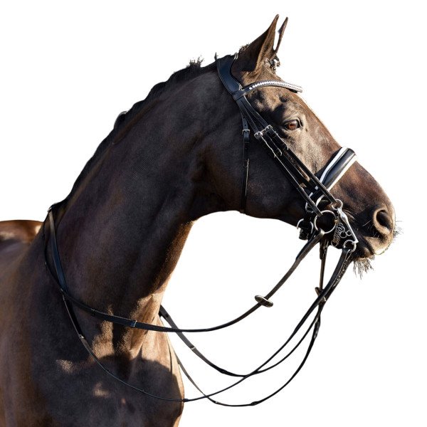 HV Polo Double Bridle Weymouth HVPLegacy de Luxe, Swedish Noseband, with Reins