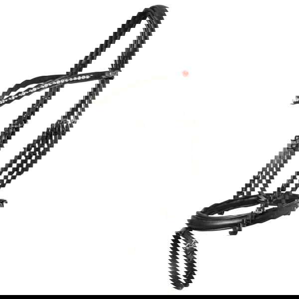 Kieffer Bridle Ultrasoft Haflinger, English Combined, with Reins